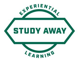 Study away badge 