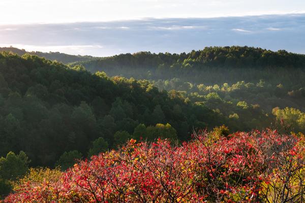 An Appalachian morning here in southeast Ohio. | Photo by Kyle Brooks