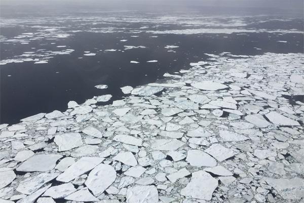 A collection of small broken ice floes in the Antarctic on Oct. 27, 2016.