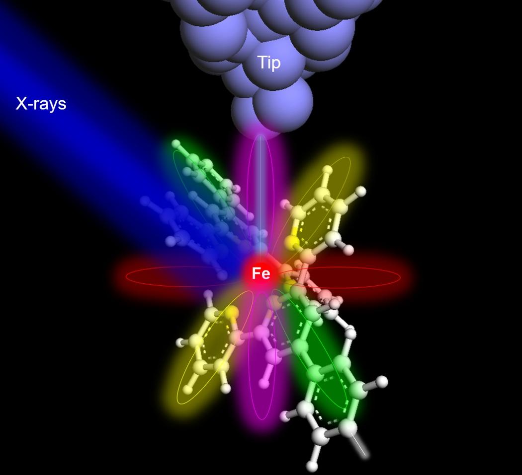 Hla figure 1