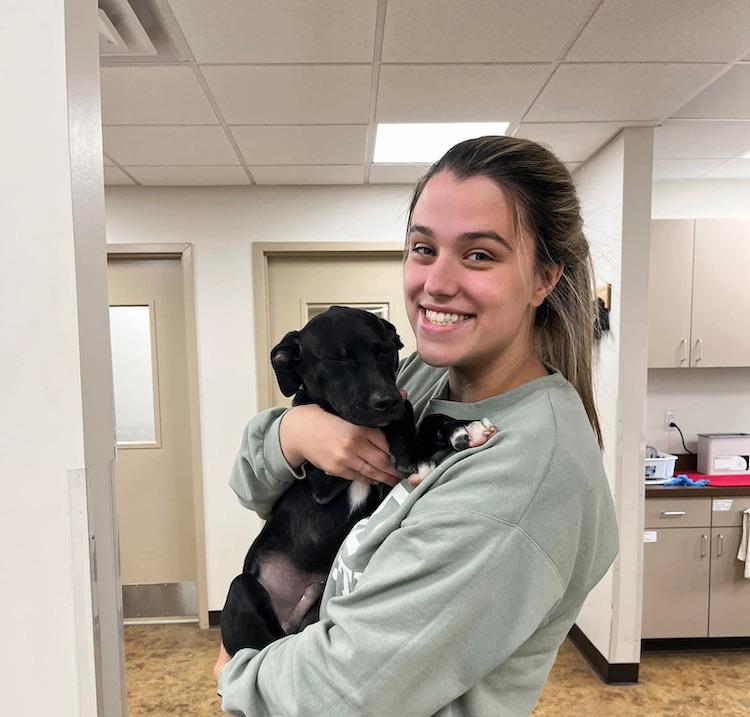 Jess Mitchell holding a puppy in an office setting