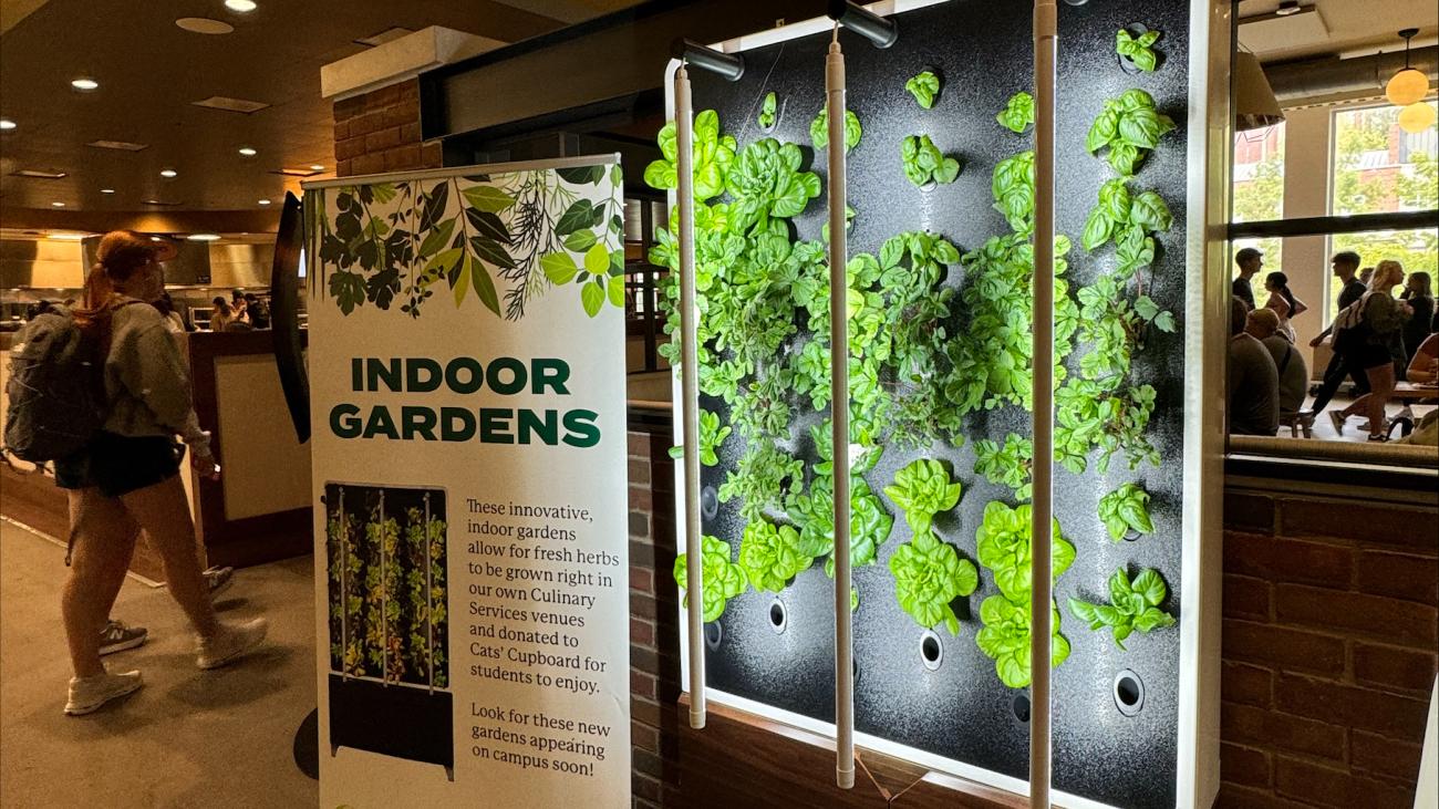 Students enjoy their meals and walk around the plant wall at the District on West Green.