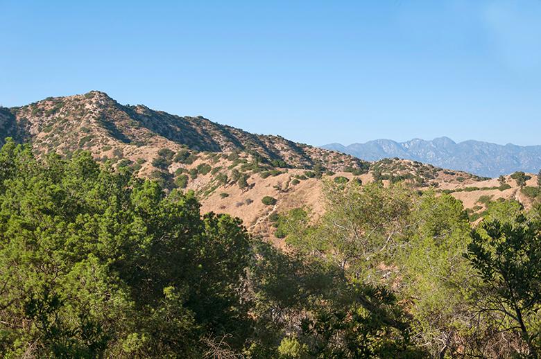 A photo of the chaparral ecosystem, a shrubland biome with hot, dry summers and cool, wet winters