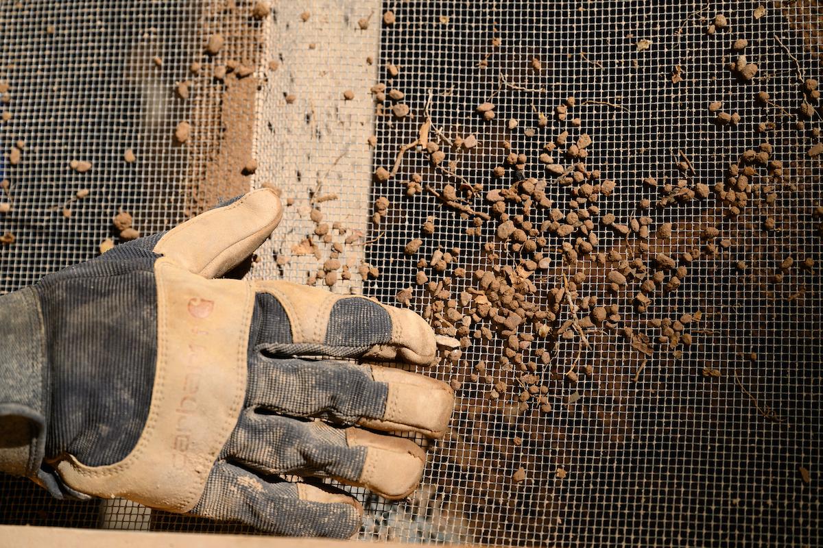 A gloved hand using a screen to sift through the findings at an archeological dig