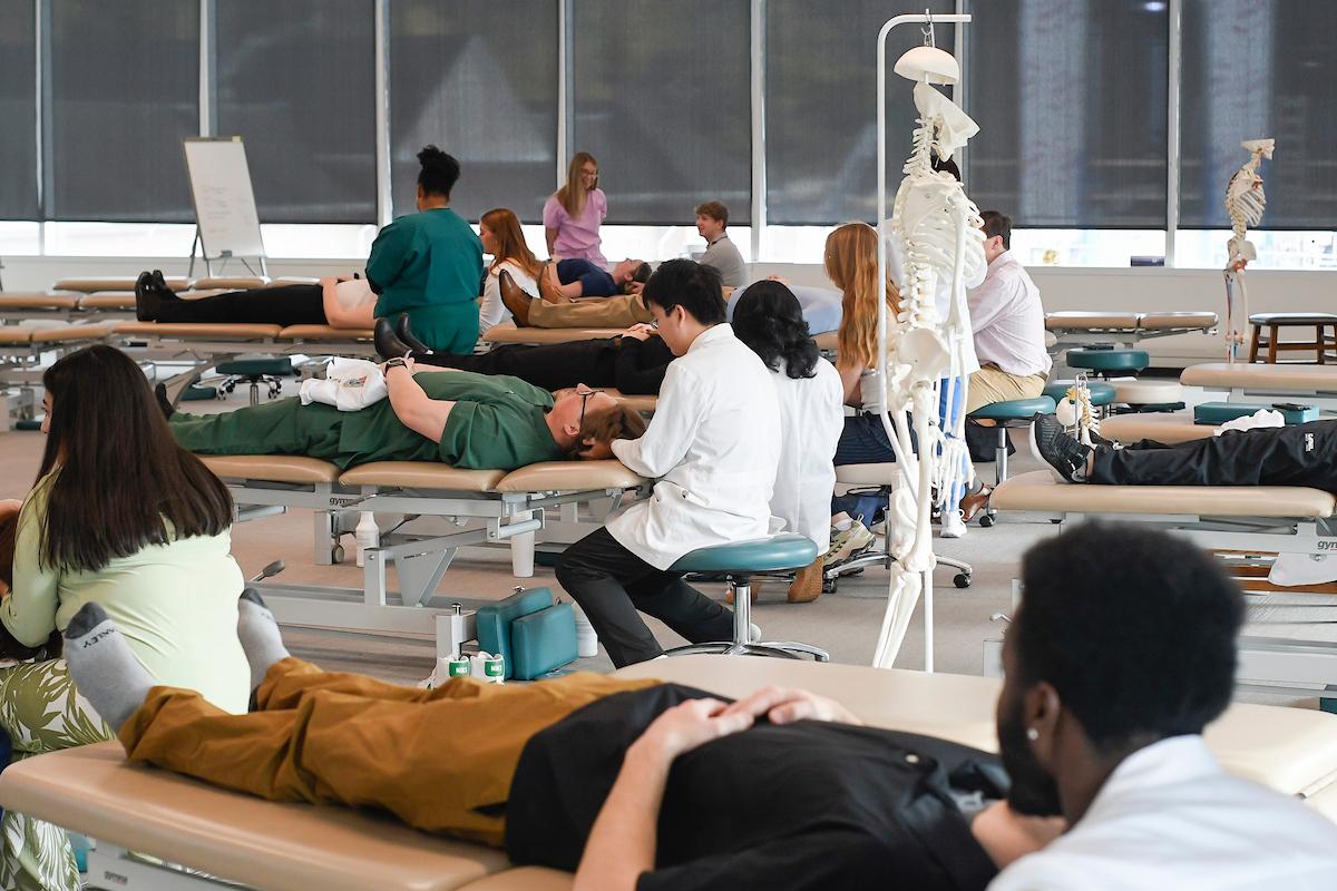 Medical students for a day in OMM lab