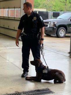 K9 Bach demonstration