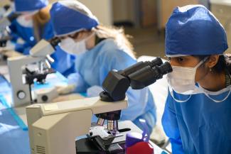 Student looks in microscope during Medical Academy