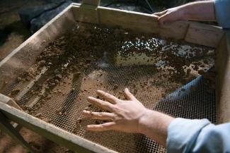 A hand showing findings in dirt.