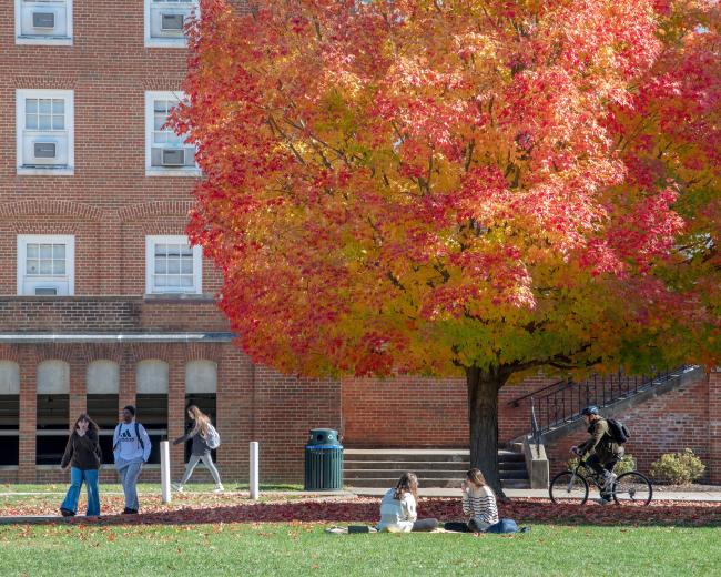 A photo of students on Ohio University's Athens Campus during fall