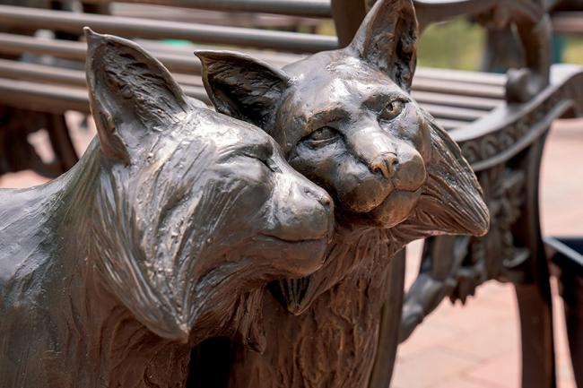 bronze bobcat statues 