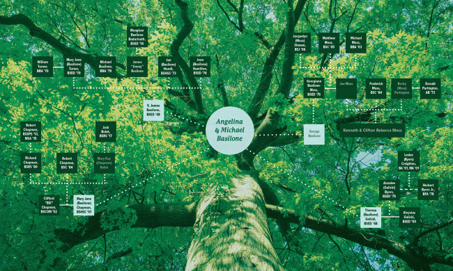 Bobcat family tree infographic