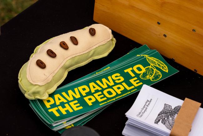 Pawpaw 2025