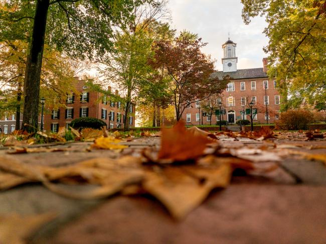 Fall leaves are on the brick pathway in front of Cutler Hall and other buildings on the College Green