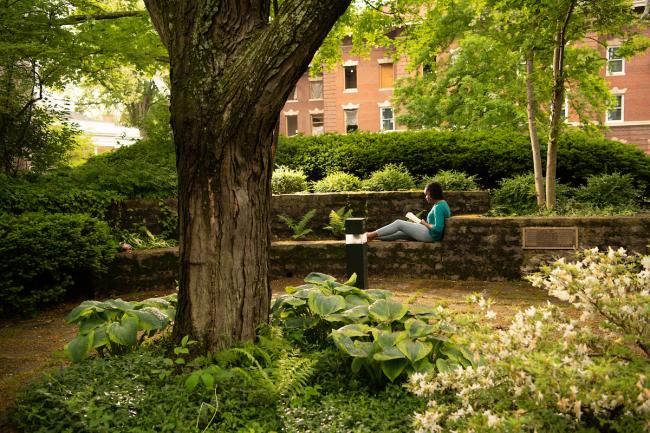 An OHIO student reads on a bench in the Wolfe Garden which has lots of green busyes and plants in it, on a summer day