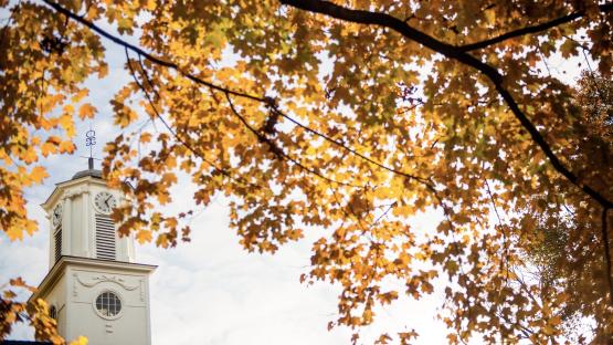  Clock tower in autumn 