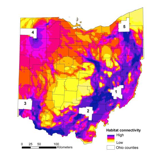 Map of Ohio with shades of purple, yellow, and red