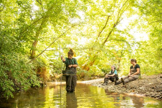  Three students work in a creek 