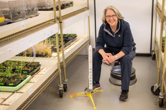  Sarah Wyatt, Ph.D. in a growth lab in the Environmental and Plant Biology Department at Ohio University.  