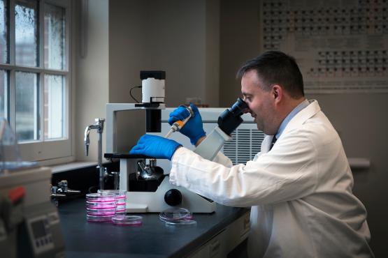 Craig Nunemaker, PhD, works in his lab