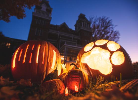 An image of pumpkins carved and decorated for Halloween