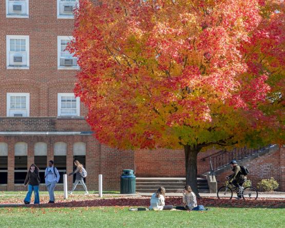 A photo of students on Ƶ&amp;#039;s Athens Campus during fall