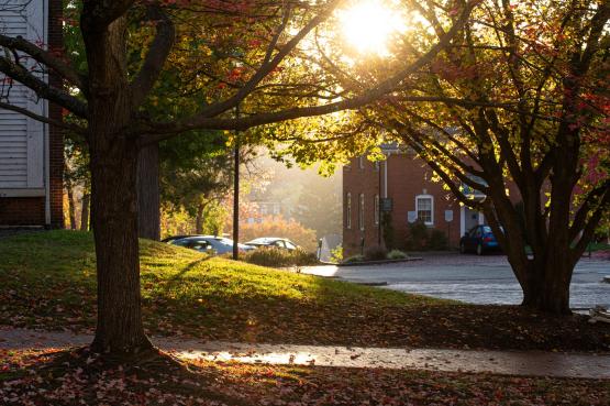  Colorful leaves are shown on the trees and on the ground on the College Green 