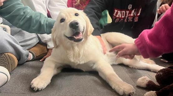 A puppy smiles as several students pet its back