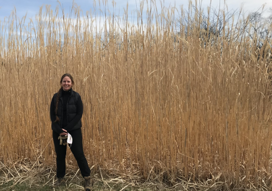  Dr. Sarah Davis is shown standing in front of miscanthus grass at The Ridges at Ohio University. 