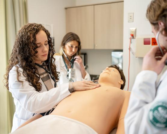  OHIO Physician Assistant program students honing their clinical skills using a medical simulation mannequin. 