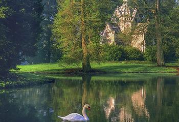  An image of a goose swimming on a lake in front of a land with trees and a building 