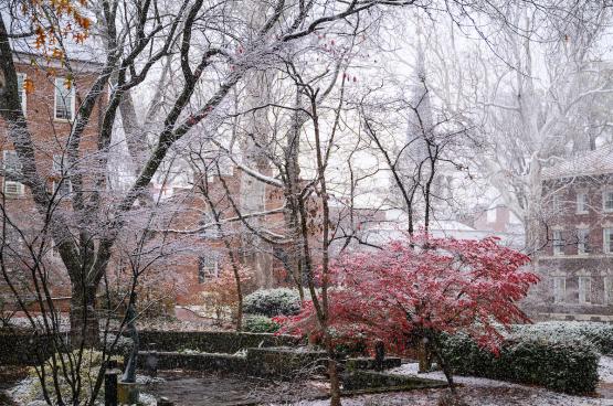  OHIO&amp;#039;s College Green is shown with snow on the tree branches and bushes on a cool November day 