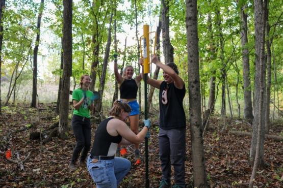  a group of students builds a fence in a forest 