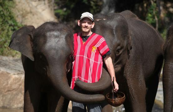  Man in red shirt standing between two elephants 