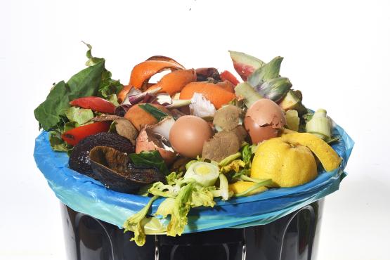  A compost bin filled with food scraps. 