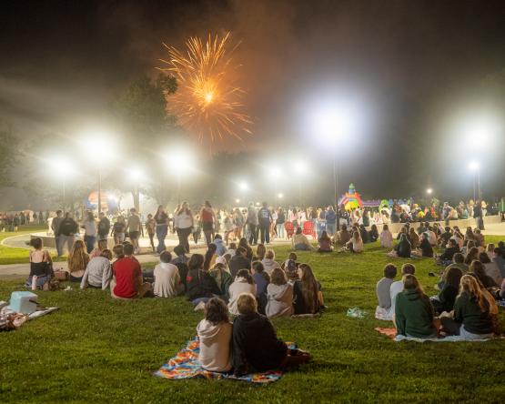 Fireworks erupt over a field of spectators