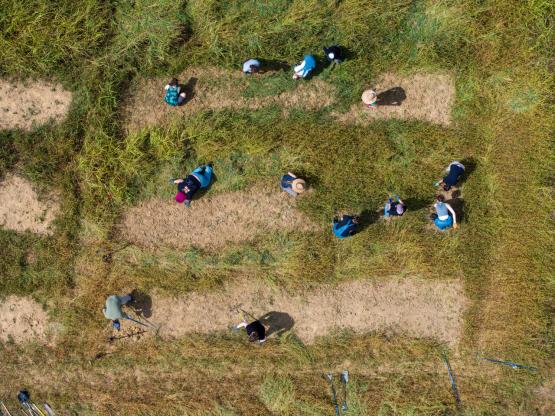 Fiber and Dye Garden