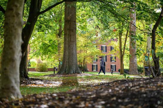 Fall campus beauty header - College green student walking