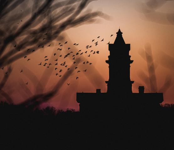 A spooky silhouette of an OHIO campus building