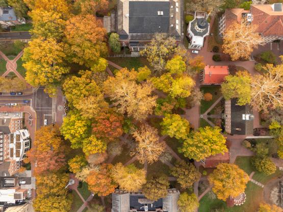 A drone shot of fall trees on OHIO's campus