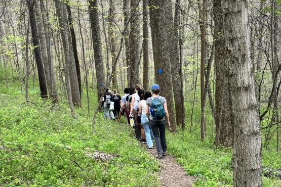 College students walking on a trail, next to large trees in Dysart Woods