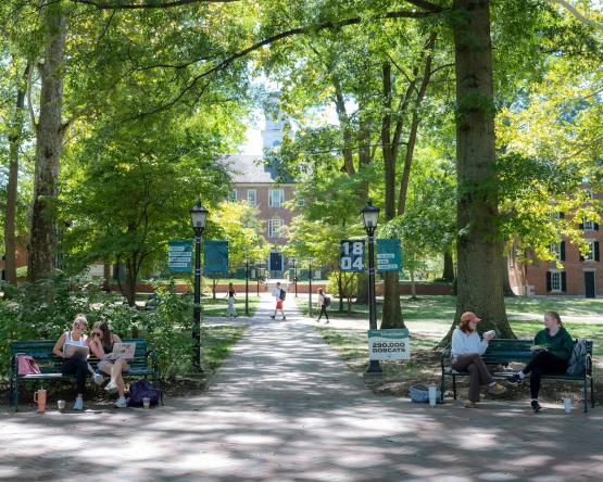 Students sit with one another on benches on the College Green on a warm and sunny day