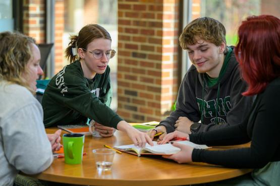 students studying at a table