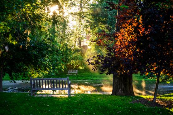 A park bench basks in the sun on OHIO&amp;#039;s Athens Campus