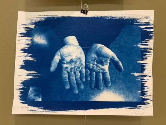 cyanotype photography