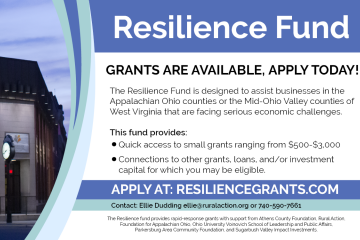 Resilience Fund 2020