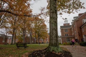 West Green during fall