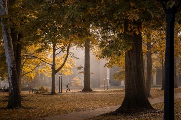 College Green in the fall