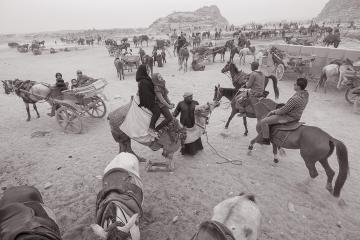 People walk and ride horses in the desert of Egypt