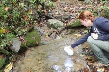 Student taking a water sample from a small pool of water in the forest
