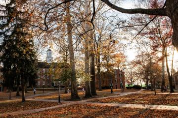 A photo of the College Green on a fall day